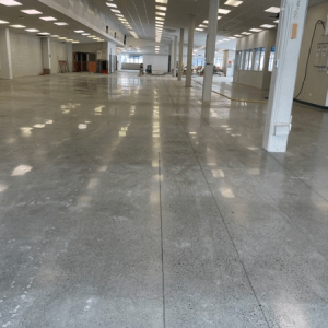 channel-cutting-bunnings-wellington-seismic-earthquake-te-aro Concrete floor at Bunnings Te Aro Wellington u pstairs with lines marked ready for shaving